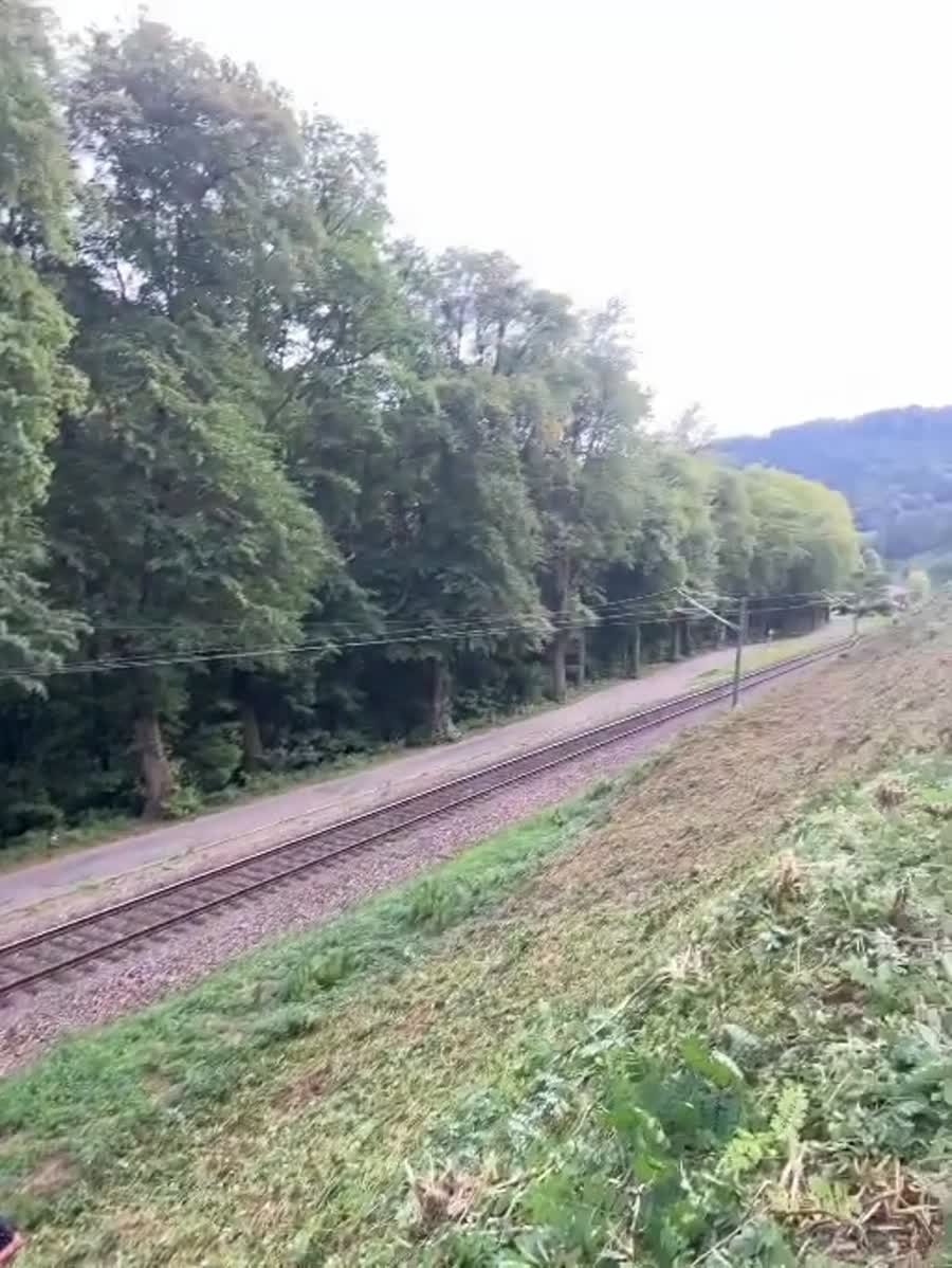Pflegearbeiten an einer Bahnstrecke